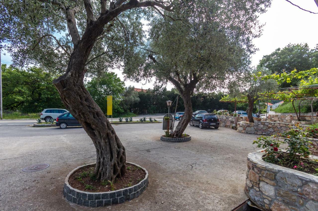 Sumice Inn Petrovac Exteriör bild